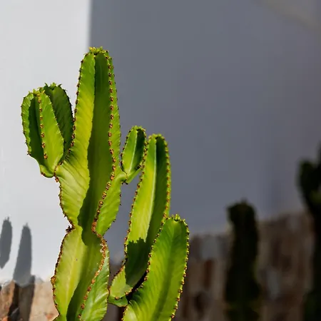 Casa Diana Hébergement de vacances