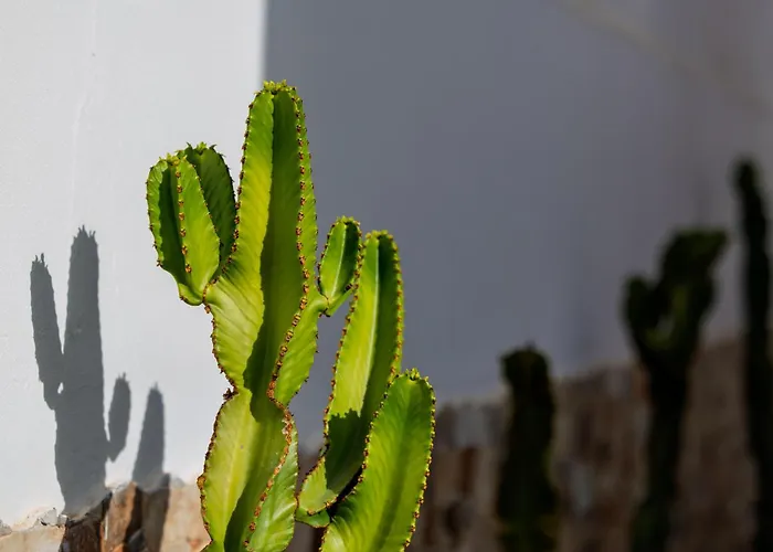 Casa Diana Hébergement de vacances